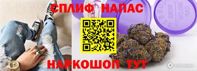 меф Краснознаменск