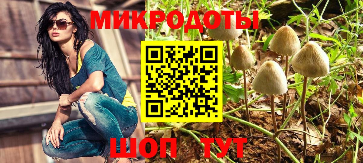 Галлюциногенные грибы Psilocybe Касимов